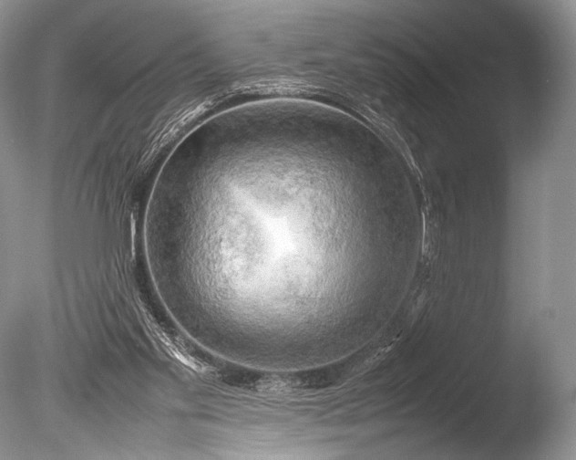X0000085740109200703301438