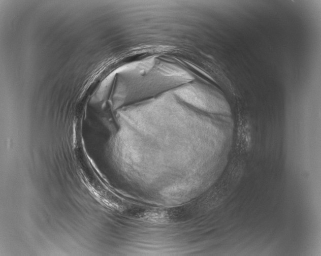 X0000085740110200703301438