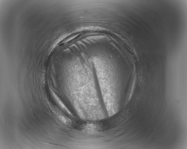 X0000085740111200703301438