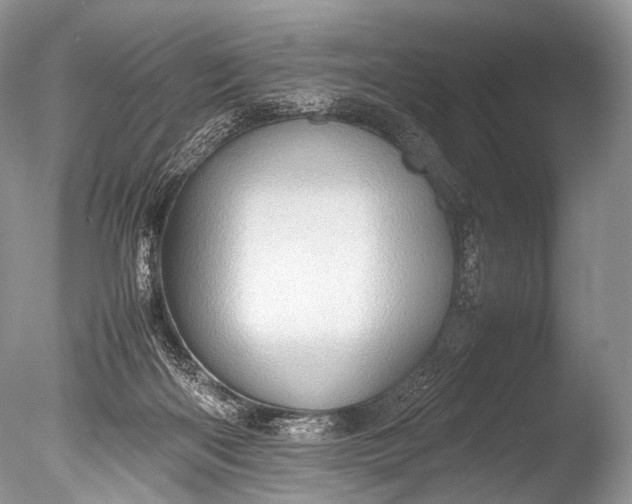X0000085740122200703301438