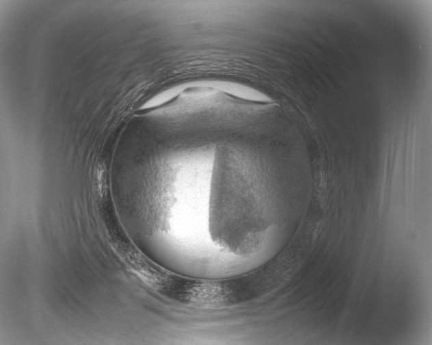 X0000085740123200703301438