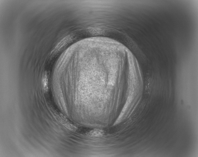 X0000085740124200703301438