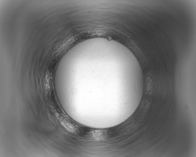 X0000085740126200703301438