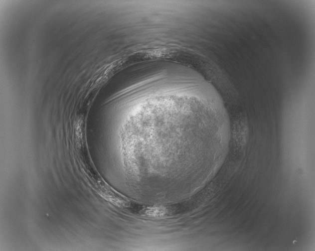 X0000085740127200703301438