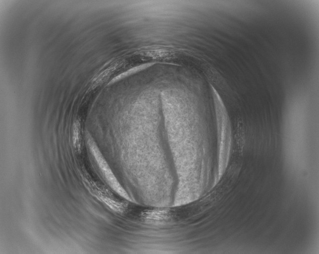 X0000085740132200703301438