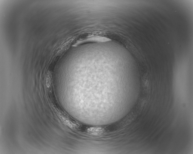 X0000085740133200703301438