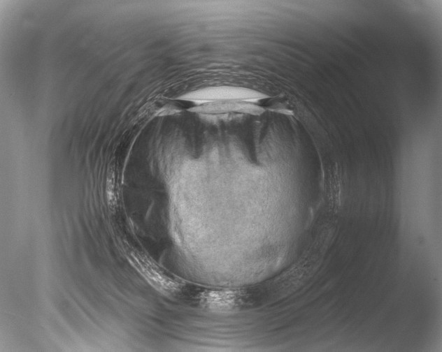 X0000085740134200703301438
