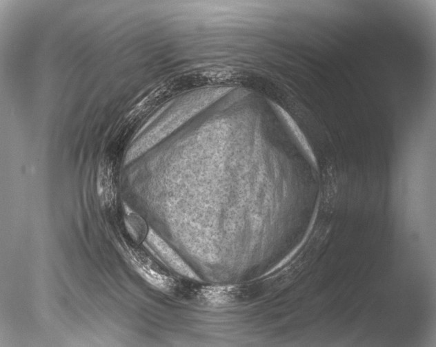 X0000085740136200703301438