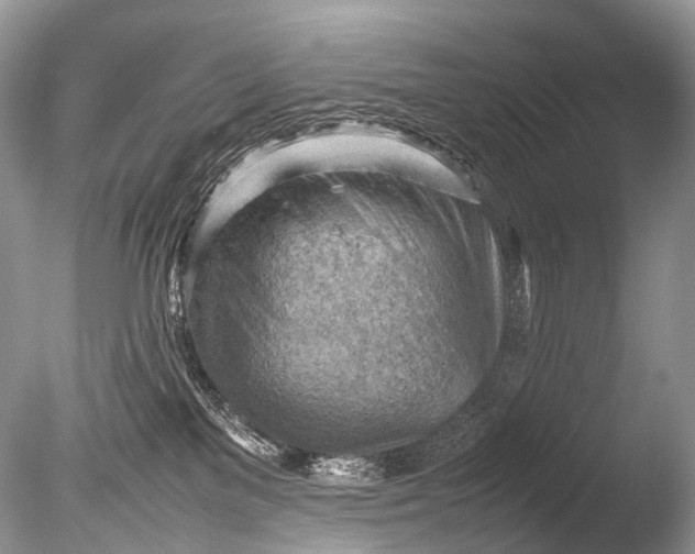 X0000085740137200703301438