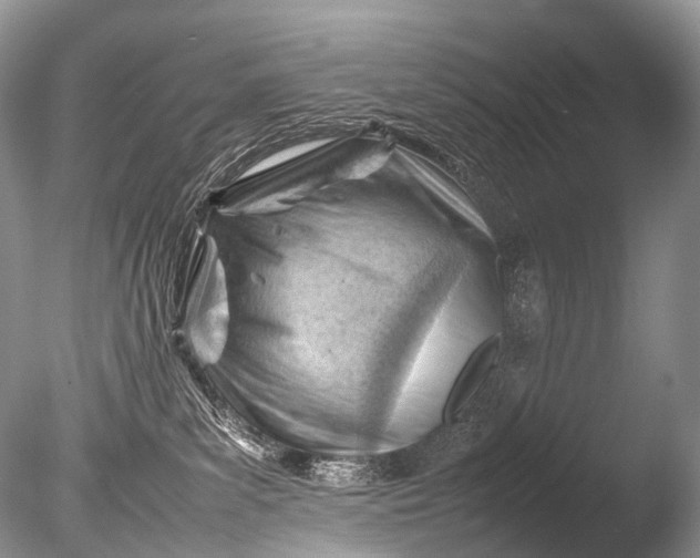 X0000085740139200703301438
