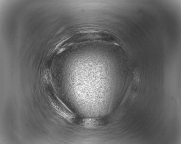 X0000085740141200703301438