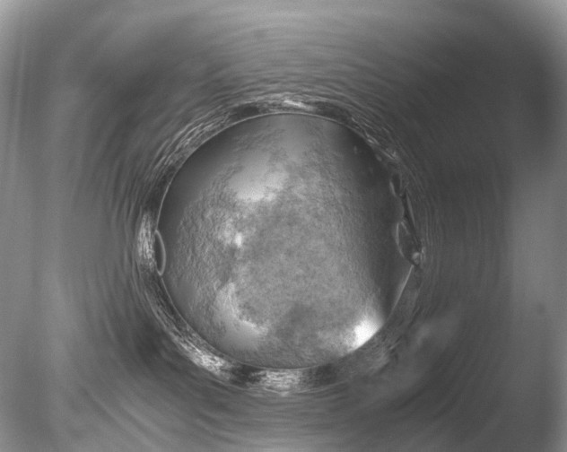 X0000085740143200703301438