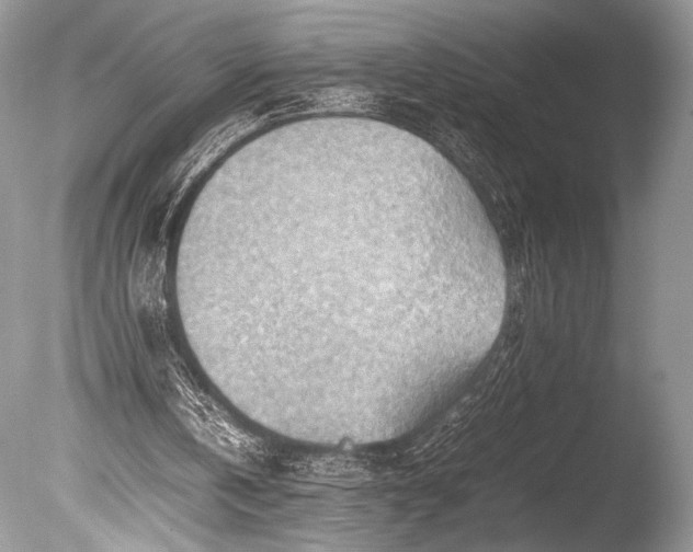 X0000085740146200703301437