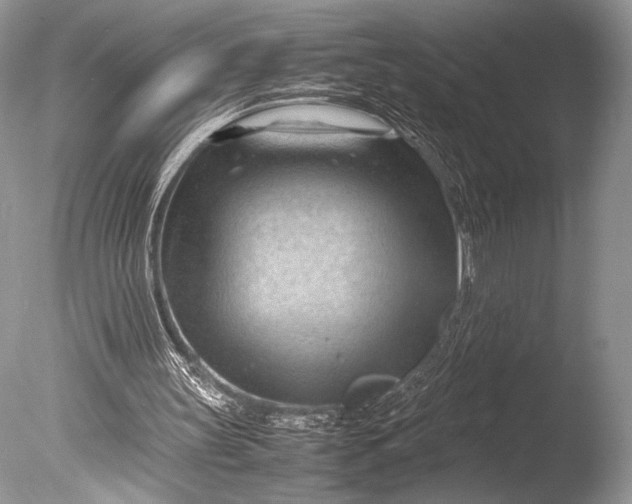 X0000085740147200703301437