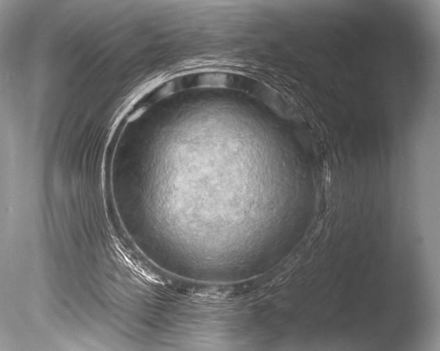 X0000085740148200703301437