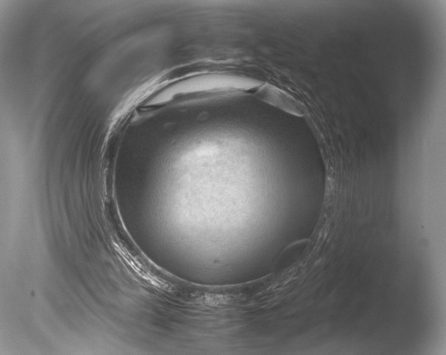 X0000085740149200703301437
