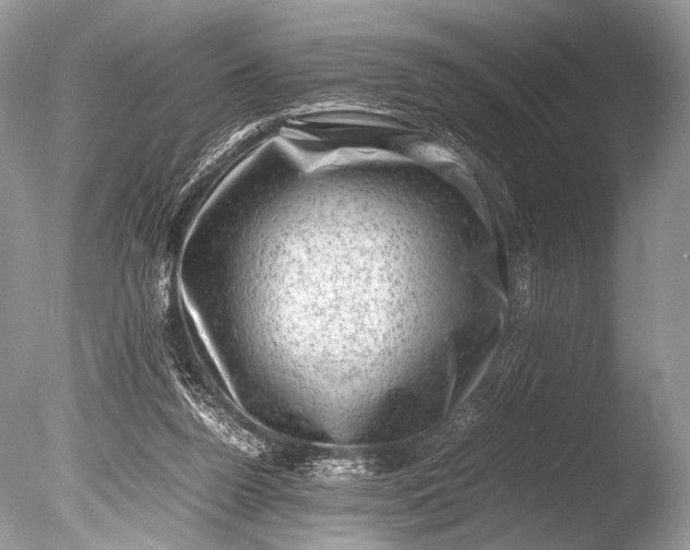 X0000085740160200703301437
