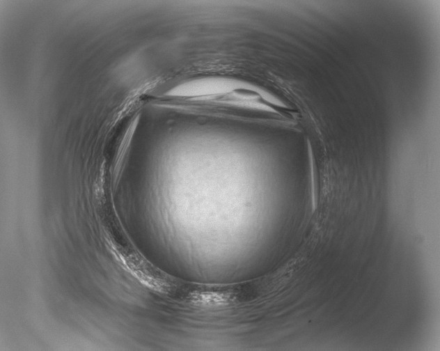 X0000085740163200703301437