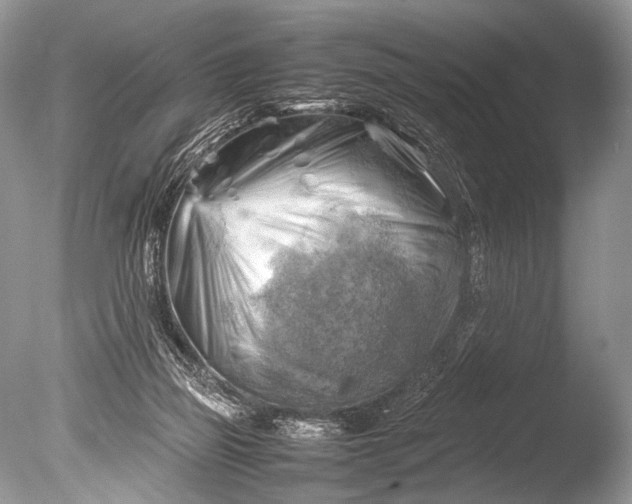 X0000085740165200703301437