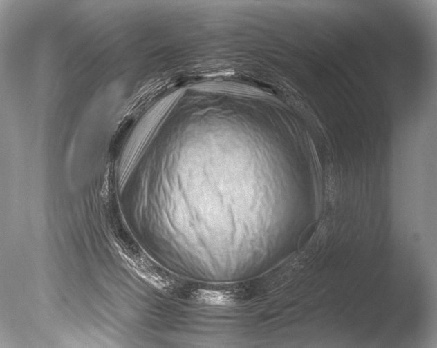 X0000085740167200703301437