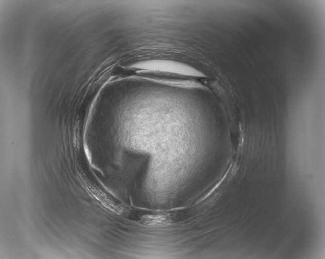 X0000085740170200703301437