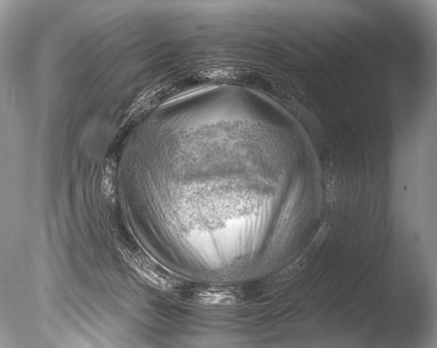 X0000085740175200703301437