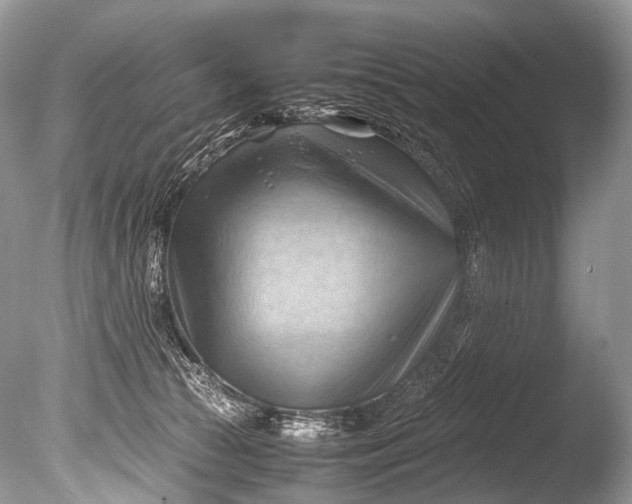X0000085740177200703301438