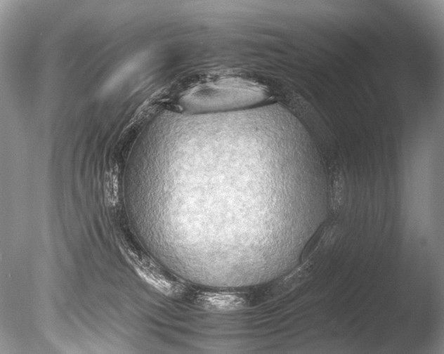X0000085740183200703301438