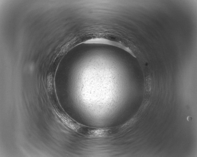 X0000085740184200703301438