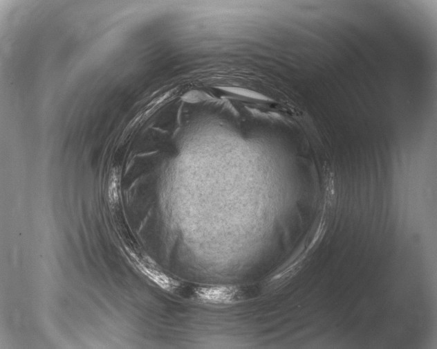 X0000085740191200703301438