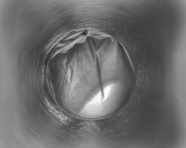 X0000085740194200703301437