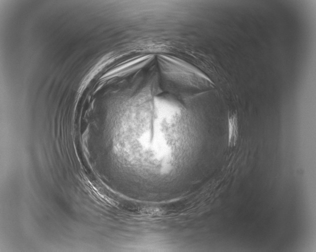 X0000085740195200703301437