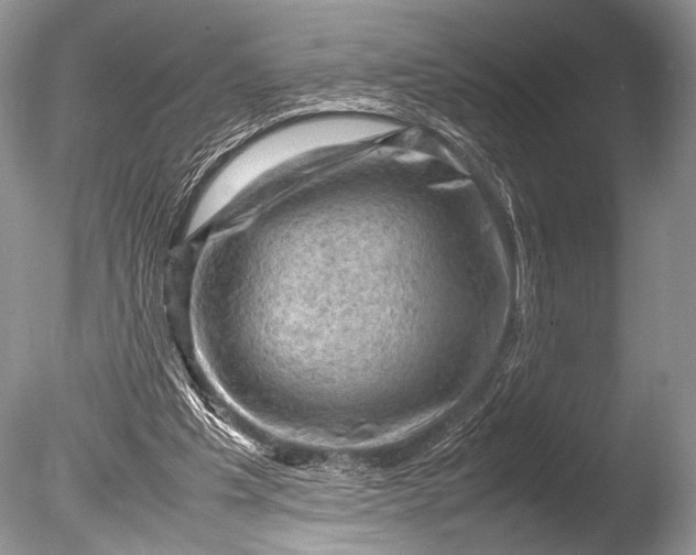 X0000085740201200703301437