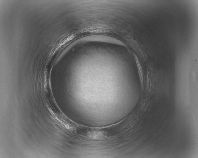 X0000085740202200703301437