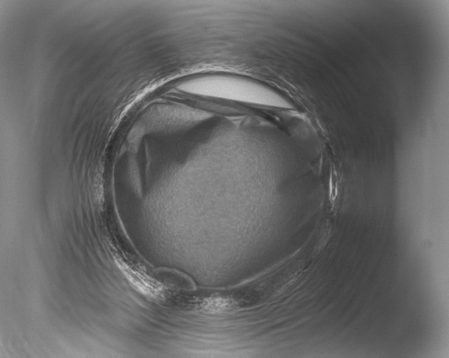 X0000085740204200703301437