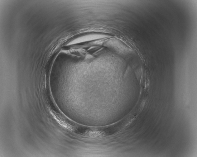 X0000085740205200703301437