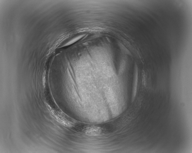 X0000085740206200703301437