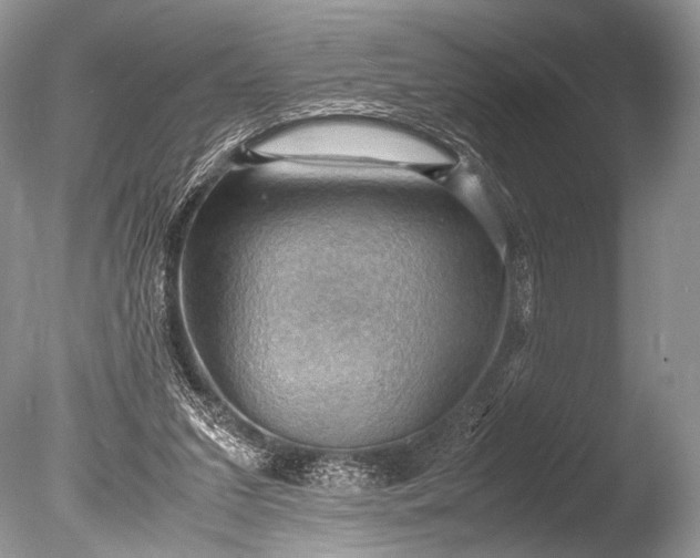 X0000085740207200703301437