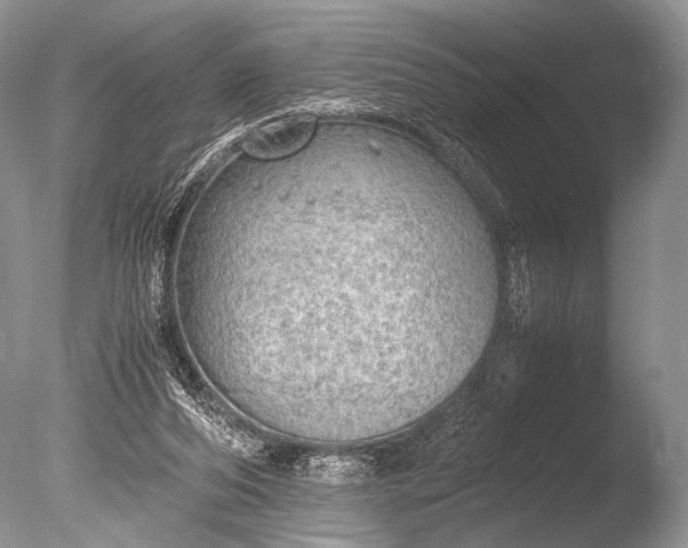 X0000085740208200703301437
