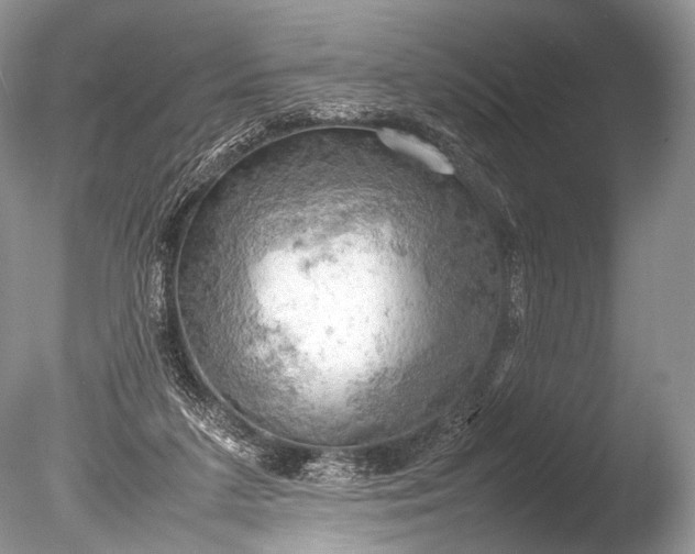 X0000085740211200703301437