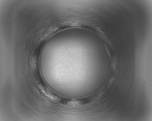 X0000085740213200703301437
