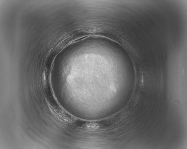 X0000085740214200703301437