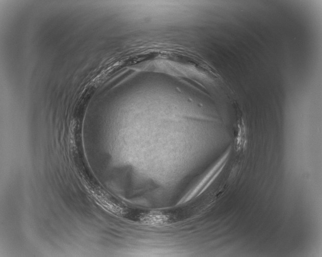 X0000085740217200703301437