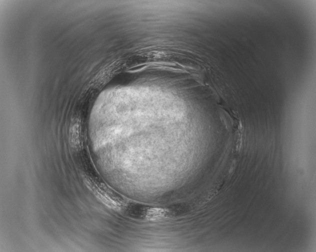 X0000085740222200703301436