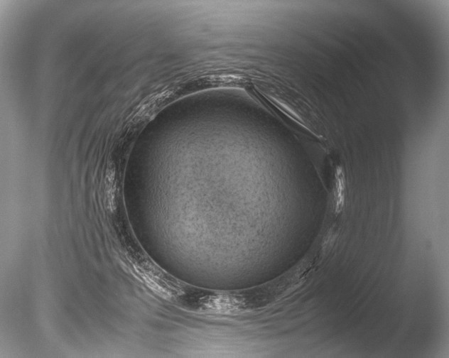 X0000085740223200703301436