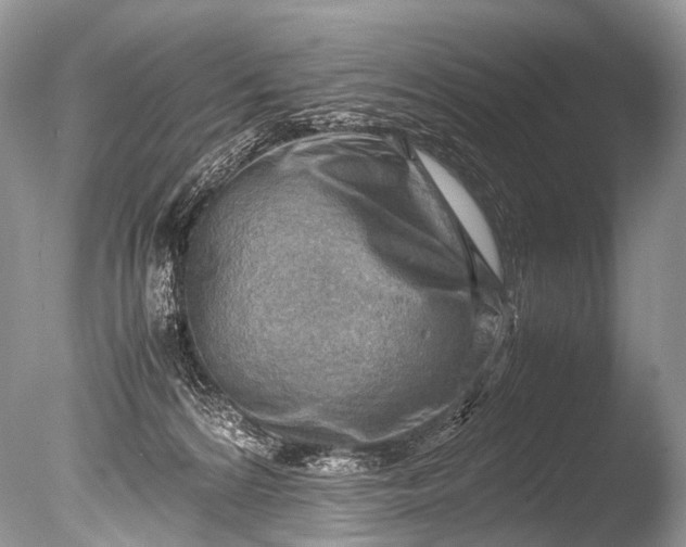 X0000085740224200703301436