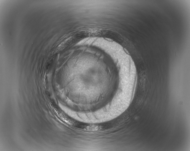 X0000085740225200703301436