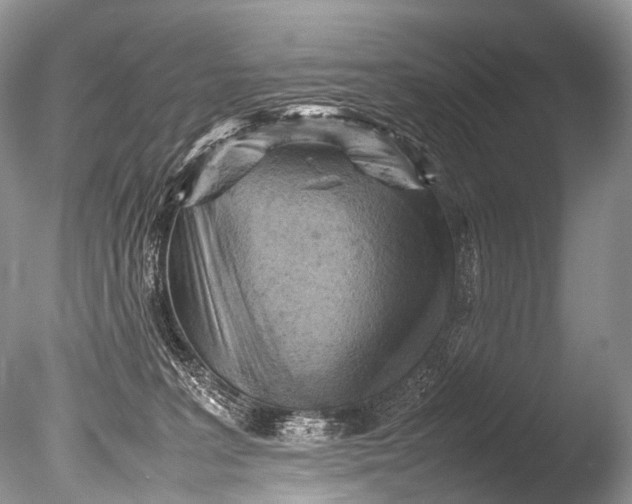 X0000085740227200703301436