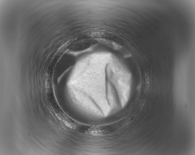 X0000085740228200703301436
