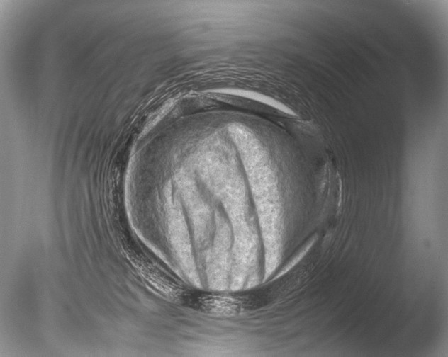 X0000085740229200703301436